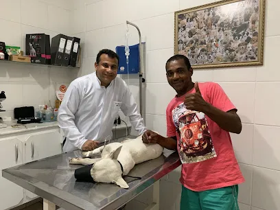 Imagem do melhor veterinário em Alagoas