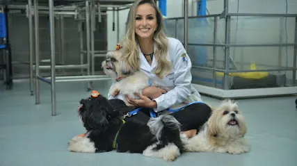 Imagem do melhor veterinário em Acre