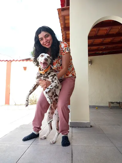 Foto de Vet Family Manaus (Atendimento Veterinário em Domicílio), uma clínica veterinária em Amazonas