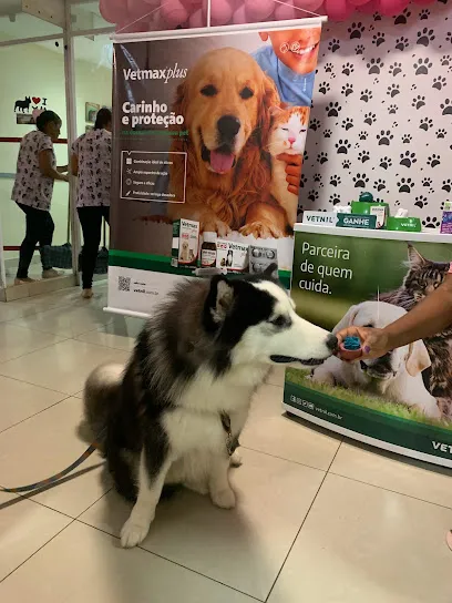 Vet Service Costa Azul en Bahia