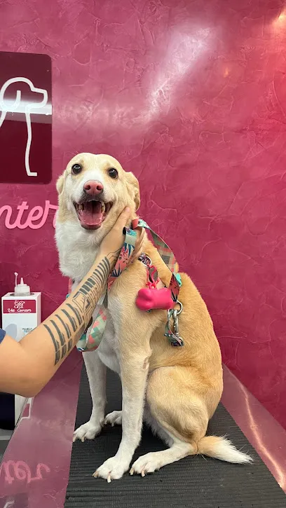 Vetcenter - Centro Diagnóstico Veterinário en Belém