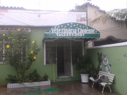 Veterinária Cãotente en Rio de Janeiro