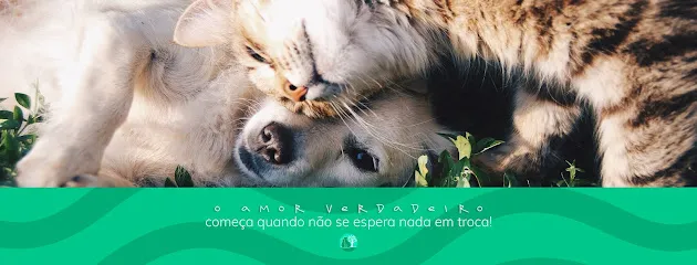 Imagem do melhor veterinário em Santa Maria