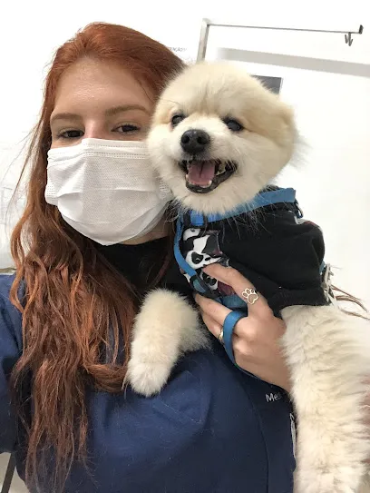 Foto de VETERINÁRIA DOMICILIAR - Dra. Gleiciane Flores, uma clínica veterinária em Rio Grande do Sul