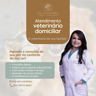 Veterinária Domiciliar- Dra Priscila Ribas en Pará