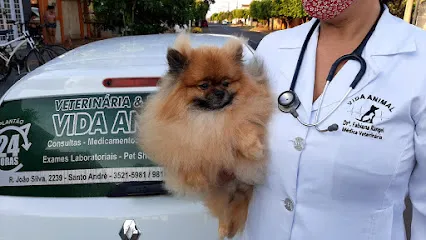 Veterinária e pet shop Vida Animal en Leste de Mato Grosso do Sul