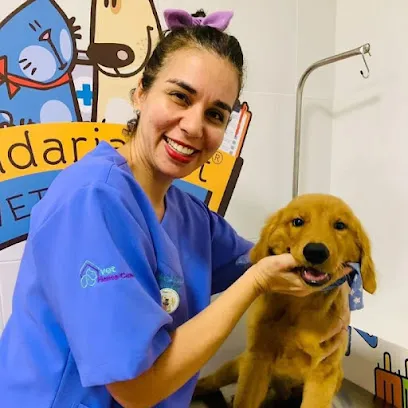 Veterinária em Domicilio - Vet Home Care PE en Pernambuco