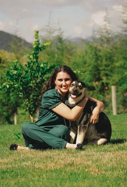 Veterinária Lydiane Mayra - Atendimento Domiciliar en Sul/Sudoeste de Minas