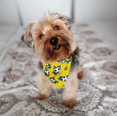 Veterinária Santa Tereza en Metropolitana de Belo Horizonte