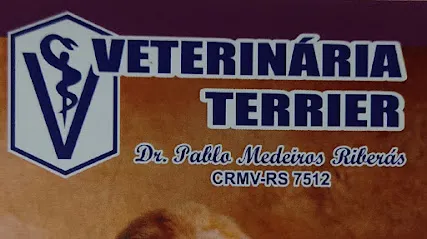 Veterinária Terrier en Sudeste Rio-grandense