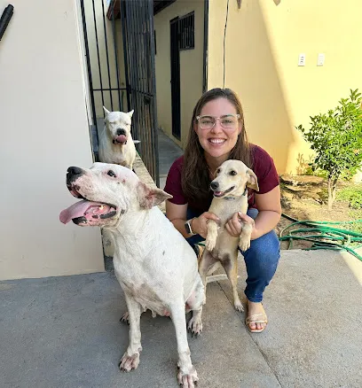 Foto de Veterinária Vyctória - Atendimento domiciliar, uma clínica veterinária em Roraima