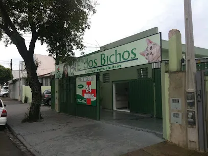 Veterinário 24 Horas Campinas Clínica É dos Bichos en Campinas