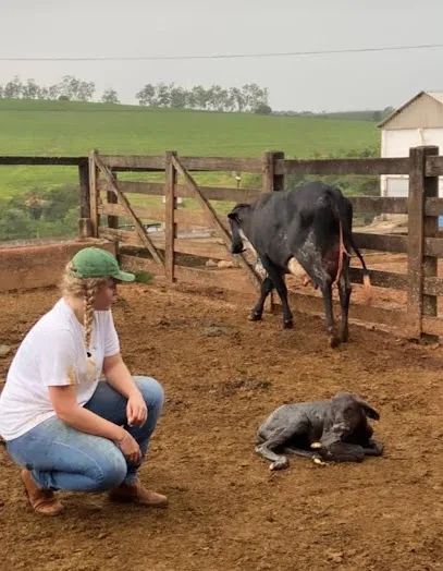 Imagem do melhor veterinário em São Sebastião do Paraíso