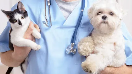 Foto de Veterinário - Atendimento Domiciliar 24h | Dra. Fernanda Ricciotti, uma clínica veterinária em Litoral Sul Paulista