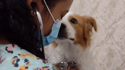 Veterinário em Domicílio en Manaus