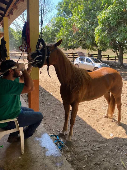 Imagem do melhor veterinário em Alto Mearim e Grajaú