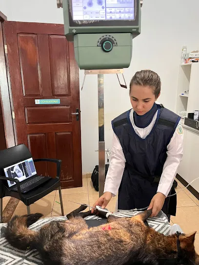 Foto de Veterinário - Pet House - Atendimento domiciliar, uma clínica veterinária em Mato Grosso