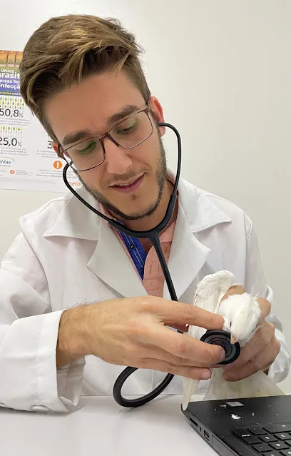 Veterinário Silvestres - Dr.Migliorini en Metropolitana de São Paulo