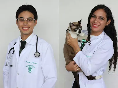 Veterinários em Domicílio - Belém/PA en Pará