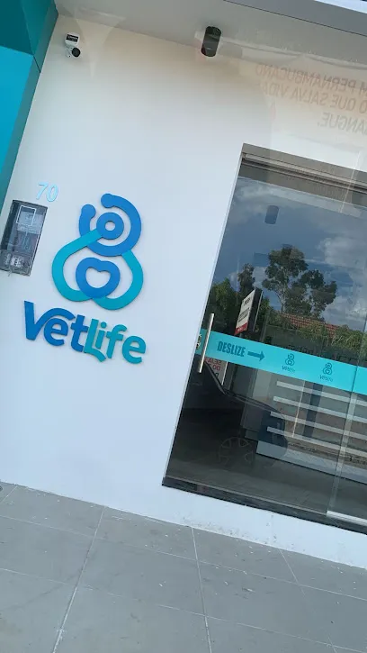 Foto de Vetlife Clinica Veterinária e Pet Shop, uma clínica veterinária em Sertão Pernambucano