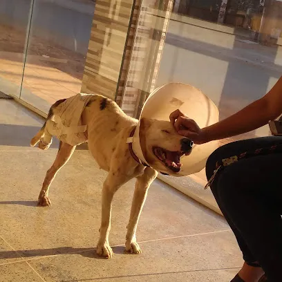 Foto de VetMed Clinica Veterinária, uma clínica veterinária em Goiás