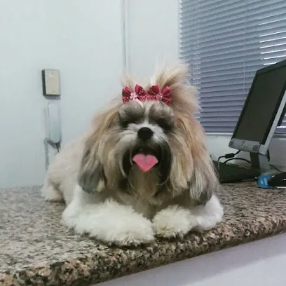 Foto de VetPop Clínica Veterinária Popular de Teresina, uma clínica veterinária em Centro-Norte Piauiense