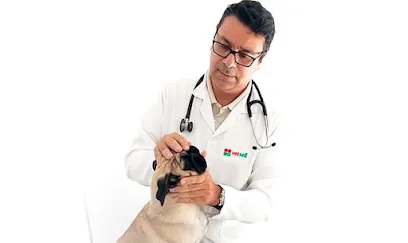 Imagem do melhor veterinário em Não-Me-Toque