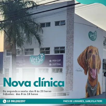 Imagem do melhor veterinário em Sorocaba