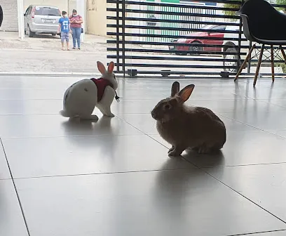 VetVale Centro de Diagnóstico e Especialidades Veterinárias en Vale do Paraíba Paulista