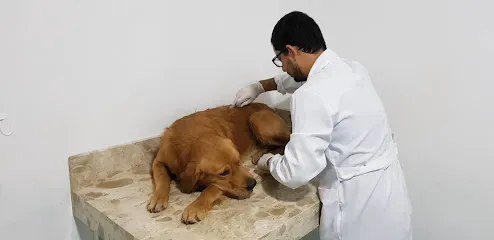 Vida Animal - Clínica Veterinária e Pet Shop en Nordeste Baiano