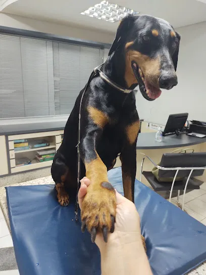 Foto de Vida24horas, uma clínica veterinária em Centro Oriental Paranaense