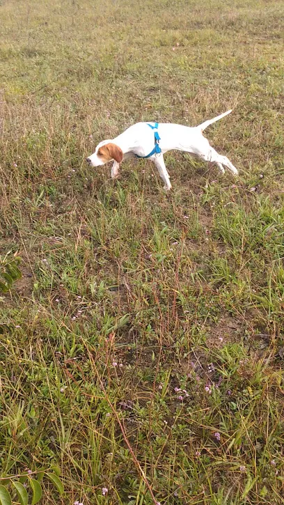 Foto de Vidas - Clínica Veterinária Popular, uma clínica veterinária em Nordeste Baiano