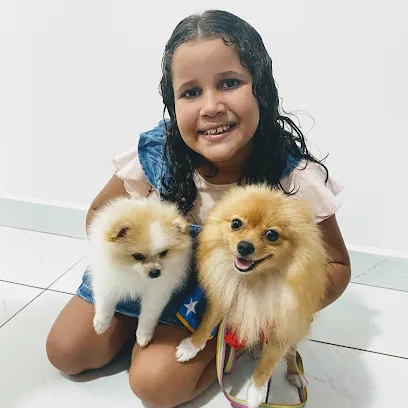 Imagem em destaque de Vila Animal Clínica Veterinária 24 horas, uma clínica veterinária em Paraíba