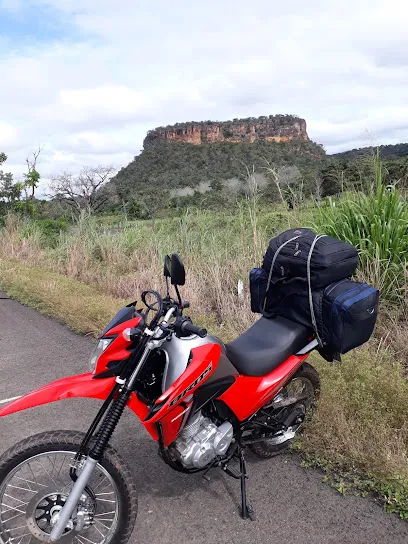 Imagem do melhor veterinário em Wanderlândia