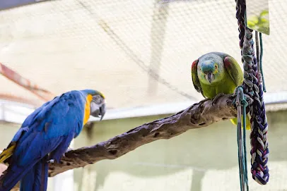 Imagem do melhor veterinário em São Paulo