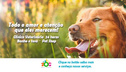 Zog Hospital Veterinário Bauru en Bauru